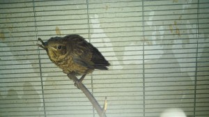 IMG-20190321-WA0048.jpeg