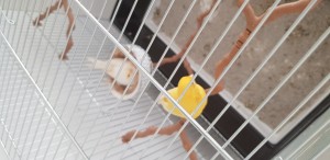20190330_084733.jpg