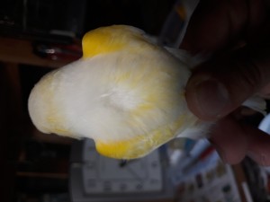 20190507_172046.jpg
