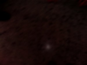 IMG_20190621_121720.jpg