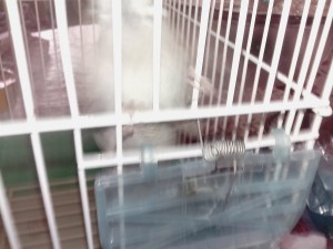IMG_20190621_121650.jpg
