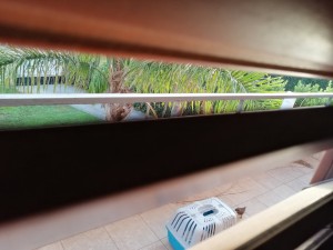 IMG_20190624_063846.jpg