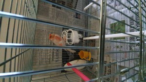 IMG-20190627-WA0015.jpeg