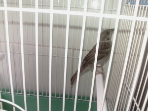 IMG_20190707_125557.jpg
