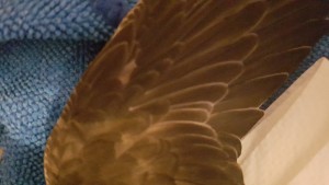 20190707_194039.jpg