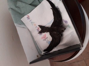 20190710_114938.jpg