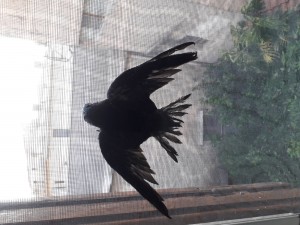 20190711_200152.jpg