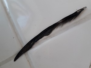 20190713_173641.jpg
