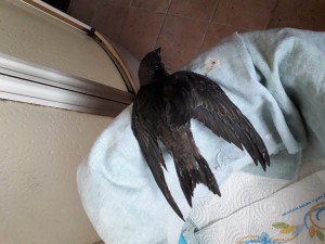 20190715_140710.jpg