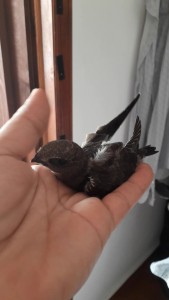 VideoCapture_20190715-142526.jpg