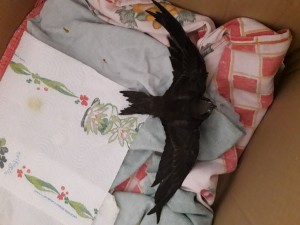 20190717_143217.jpg
