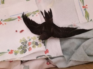 20190717_143249.jpg