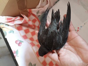 20190719_142110.jpg