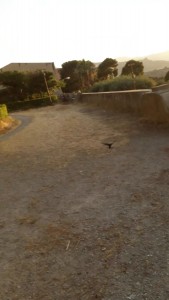 VideoCapture_20190720-092728.jpg