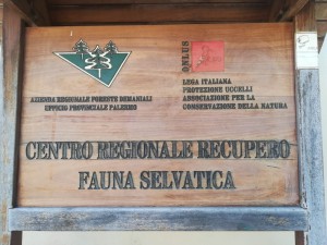 IMG-20190722-WA0002.jpg