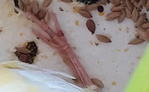 20190805_155612.jpg