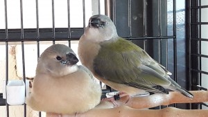 20190820_103013.jpg