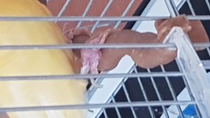 Foto4