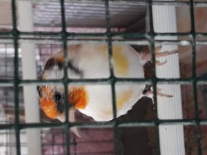 20190914_182252[1].jpg