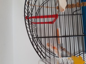 20190919_121839.jpg