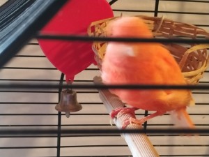 IMG_20190930_075649.jpg