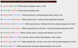 Screenshot (12).png