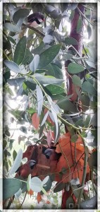 2019-10-29-11-41-15.jpg