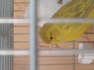 IMG_20200304_110840.jpg