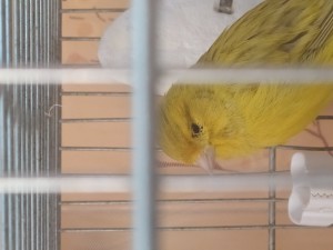 IMG_20200304_110844.jpg