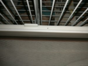 IMG_20200505_052932.jpg