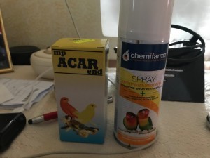 DACF2063-7A03-4C7D-BA0C-3E3C0070411C.jpeg