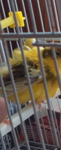 20200517_142940.jpg