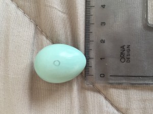 8C3B0485-2648-4C32-AF17-96CEA25C7291.jpeg