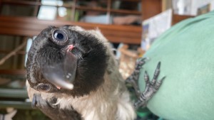 9DB8547D-C180-404F-843D-BC3D17608BB3.jpeg