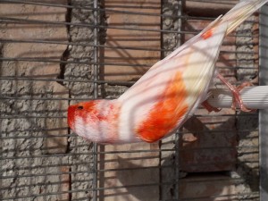 20191013_145545.jpg