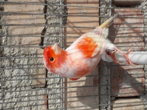 20191013_145126.jpg
