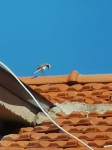 WhatsApp Image 2020-06-06 at 12.11.14.jpeg