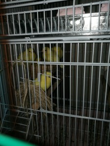 IMG_20200612_211814.jpg