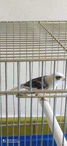 IMG_20200627_143028.jpg