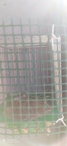 IMG_20200720_091604.jpg