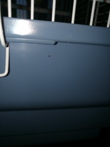 IMG_20200504_055358.jpg