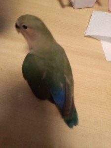 IMG_20200909_184856.jpg