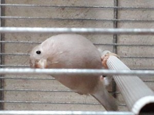 20201019_161928.jpg