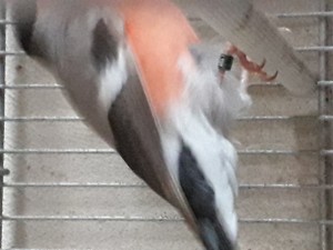 20201019_161433.jpg