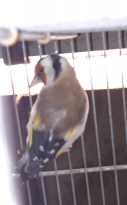 20201111_213300.jpg