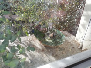 IMG_20201231_122640.jpg