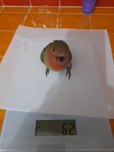 WhatsApp Image 2021-03-27 at 08.24.15.jpeg