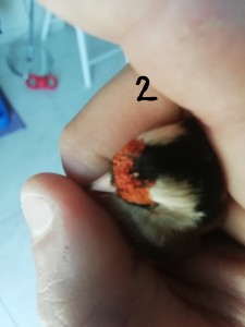 2...jpg