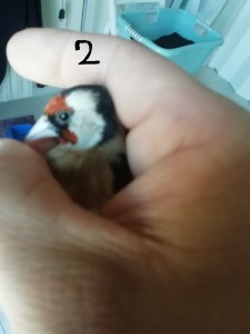 2..jpg