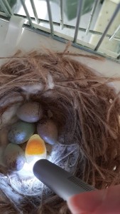 VideoCapture_20210414-201103.jpg
